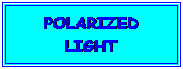 Cuadro de texto: POLARIZED LIGHT

