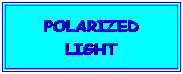 Cuadro de texto: POLARIZED LIGHT
