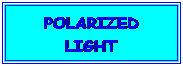 Cuadro de texto: POLARIZED LIGHT
