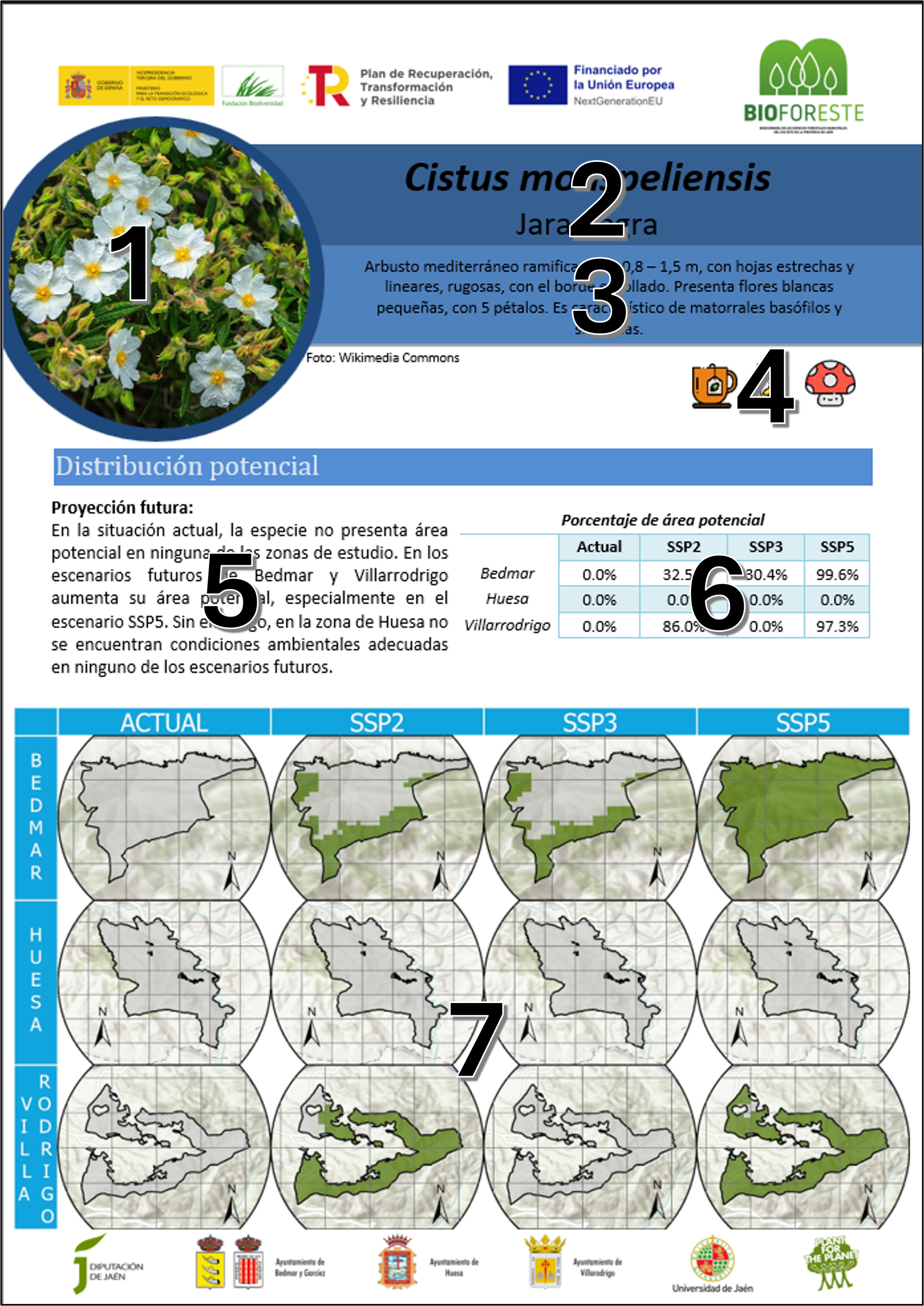 Modelosde de distribución