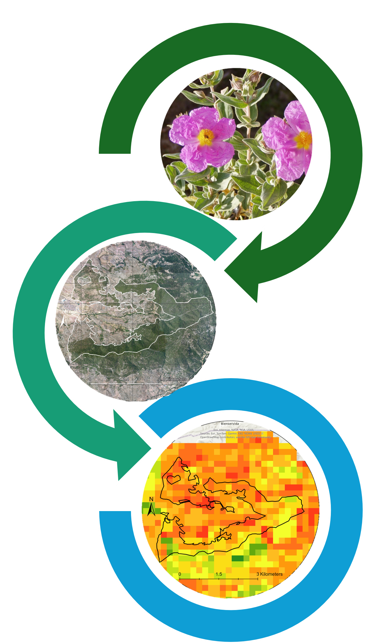 Modelosde de distribución
